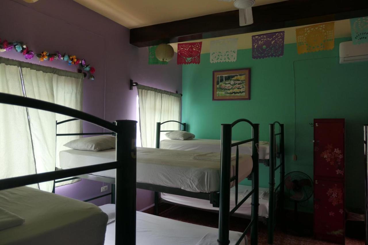Casa Kraken Hostel Puerto Vallarta Kültér fotó