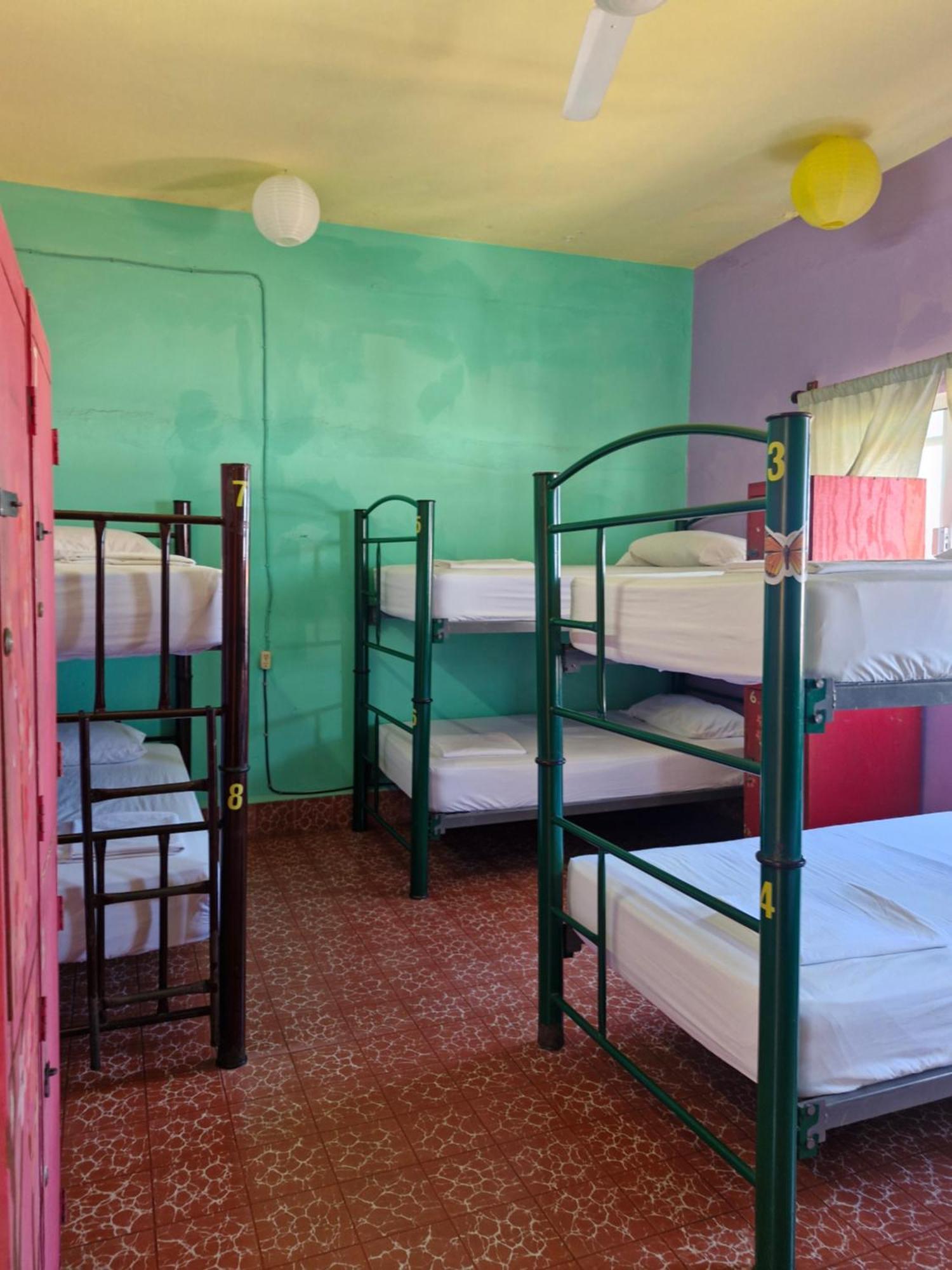 Casa Kraken Hostel Puerto Vallarta Kültér fotó