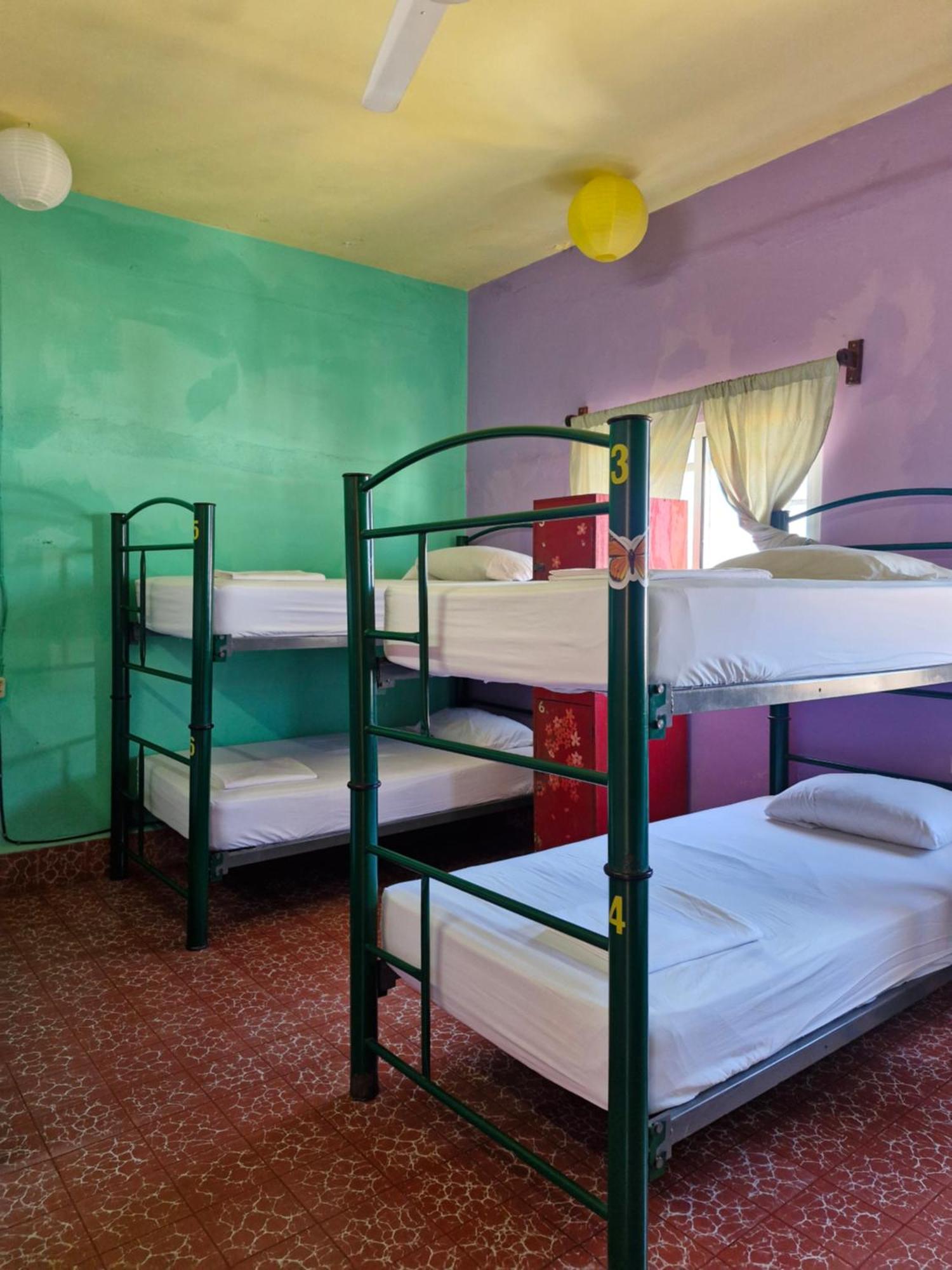 Casa Kraken Hostel Puerto Vallarta Kültér fotó