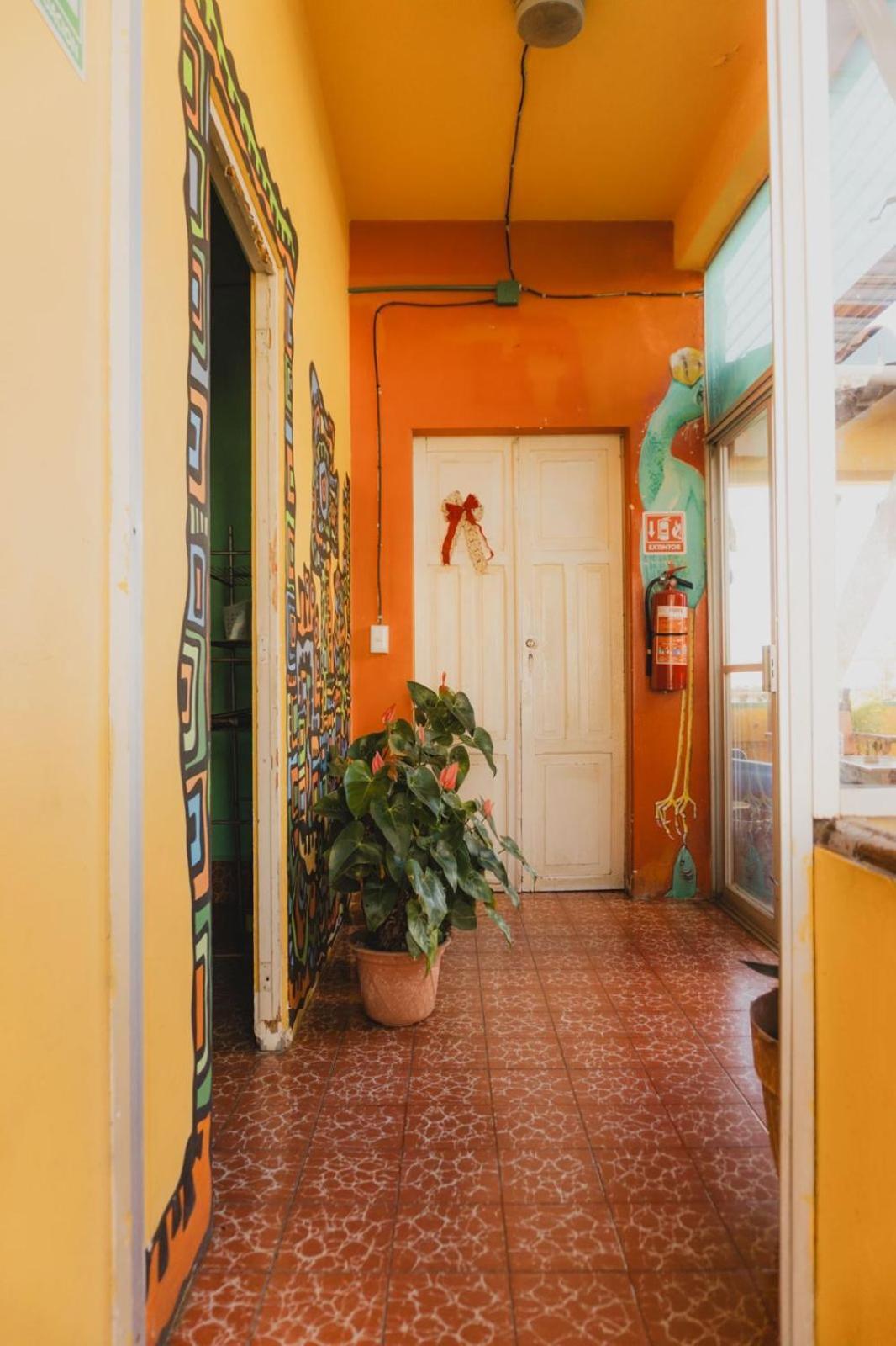 Casa Kraken Hostel Puerto Vallarta Kültér fotó